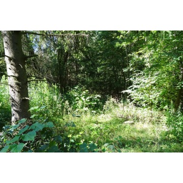 Działka rolna Gruta sprzedam, pow. 48 300 m2  (4.83ha) - zdjęcie 7