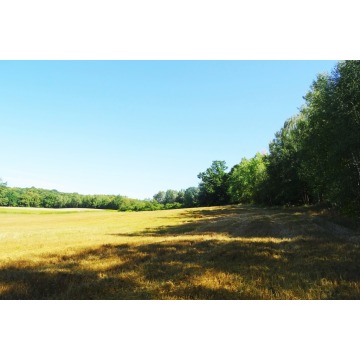 Działka rolna Gruta sprzedam, pow. 48 300 m2  (4.83ha) - zdjęcie 1