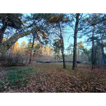Działka budowlana Otwock sprzedam, pow. 1379 m2  (13.8a) - zdjęcie 6