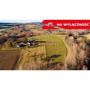 Działka rolna Tuchów sprzedam, pow. 3918 m2  (39.2a) - zdjęcie 3
