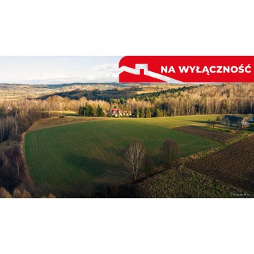 Działka rolna Tuchów sprzedam, pow. 3918 m2  (39.2a) - zdjęcie 5