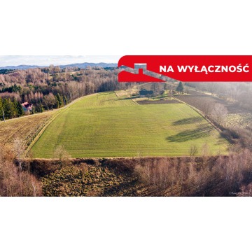 Działka rolna Tuchów sprzedam, pow. 3918 m2  (39.2a) - zdjęcie 2