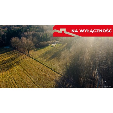 Działka budowlana Tuchów sprzedam, pow. 1041 m2  (10.4a) - zdjęcie 2