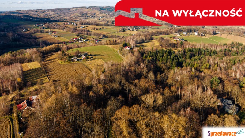 Działka leśna Tuchów