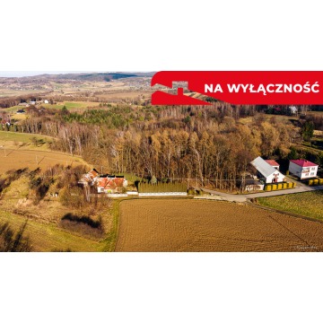 Działka leśna Tuchów sprzedam, pow. 4599 m2  (46a) - zdjęcie 5