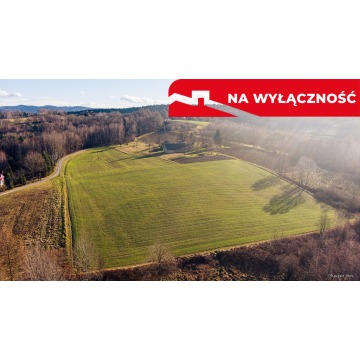 Działka budowlana Tuchów sprzedam, pow. 643 m2  (6.4a) - zdjęcie 2