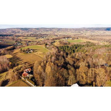 Działka leśna Tuchów sprzedam, pow. 3026 m2  (30.3a) - zdjęcie 2