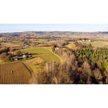 Działka leśna Tuchów sprzedam, pow. 3026 m2  (30.3a) - zdjęcie 1