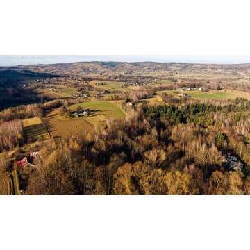 Działka leśna Tuchów sprzedam, pow. 3026 m2  (30.3a) - zdjęcie 6