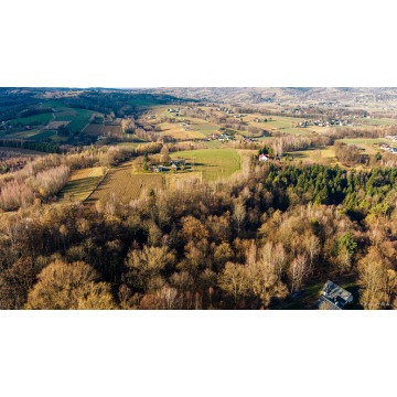 Działka leśna Tuchów sprzedam, pow. 3026 m2  (30.3a) - zdjęcie 3