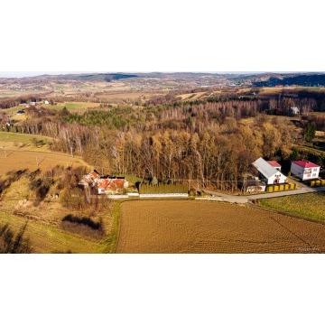 Działka leśna Tuchów sprzedam, pow. 3026 m2  (30.3a) - zdjęcie 4