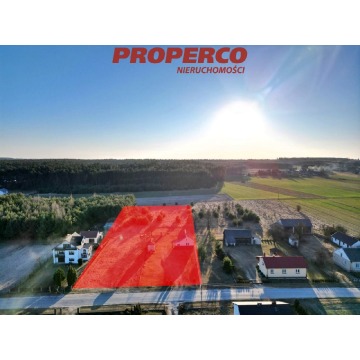 Sprzedam dom Nowe Kotlice -  wolnostojący,  pow.  85 m2,  działka:   7212 m2 - zdjęcie 4