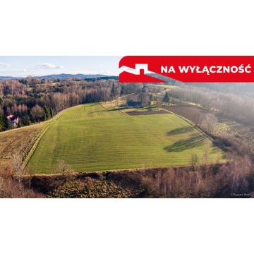 Działka budowlana Tuchów sprzedam, pow. 620 m2  (6.2a) - zdjęcie 5