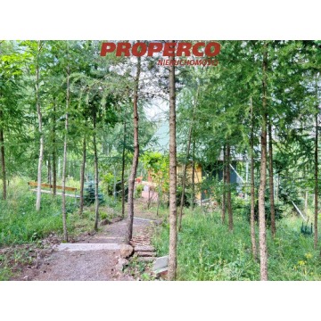 Sprzedam dom Chęciny -  wolnostojący jednopiętrowy,  pow.  35 m2,  działka:   13 100 m2 - zdjęcie 5