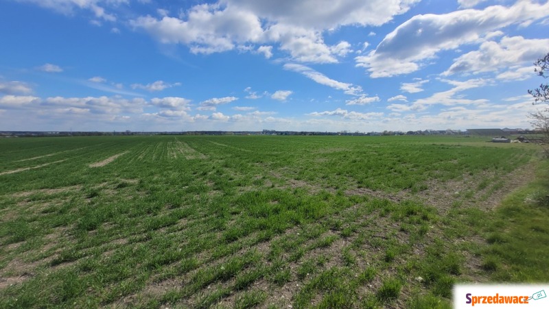 Sprzedaż 1,58 ha - budownictwo...