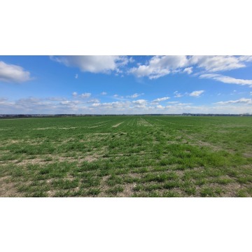 Działka budowlana Opole sprzedam, pow. 15 800 m2  (1.58ha) - zdjęcie 2