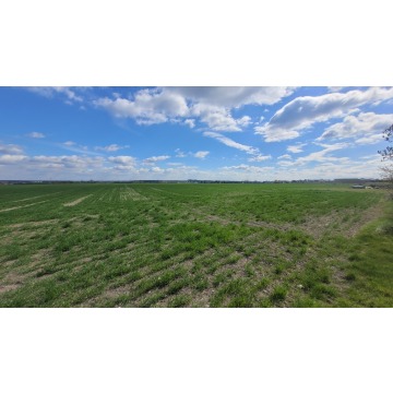 Działka budowlana Opole sprzedam, pow. 15 800 m2  (1.58ha) - zdjęcie 1