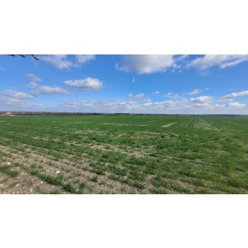 Działka budowlana Opole sprzedam, pow. 15 800 m2  (1.58ha) - zdjęcie 3