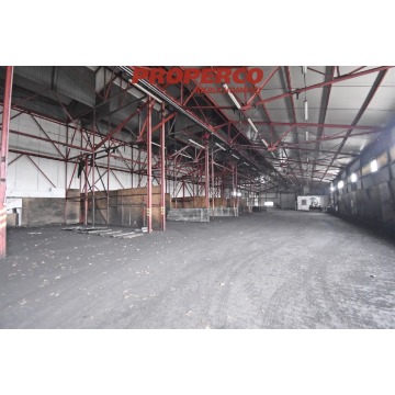 Hala 1600m2 , Czarnów, Kielce - Lokale użytkowe do w... - Kielce - zdjęcie 3