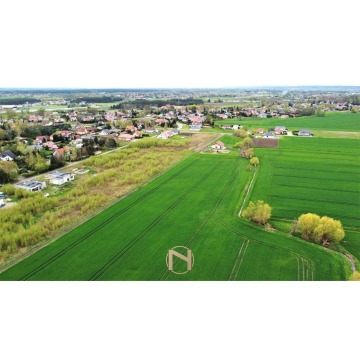 Działka budowlana Gorzów Wielkopolski sprzedam, pow. 1984 m2  (19.8a) - zdjęcie 8