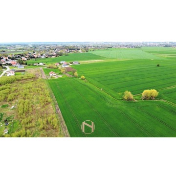 Działka budowlana Gorzów Wielkopolski sprzedam, pow. 1984 m2  (19.8a) - zdjęcie 6