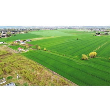 Działka budowlana Gorzów Wielkopolski sprzedam, pow. 1984 m2  (19.8a) - zdjęcie 5