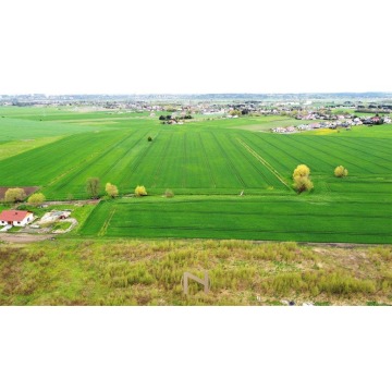 Działka budowlana Gorzów Wielkopolski sprzedam, pow. 1984 m2  (19.8a) - zdjęcie 3