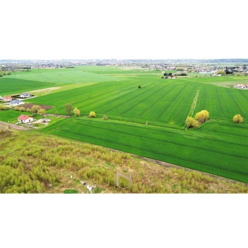 Działka budowlana Gorzów Wielkopolski sprzedam, pow. 1984 m2  (19.8a) - zdjęcie 4