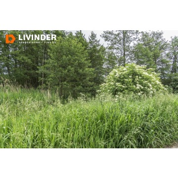 Działka Czulice sprzedam, pow. 2100 m2  (21a) - zdjęcie 8