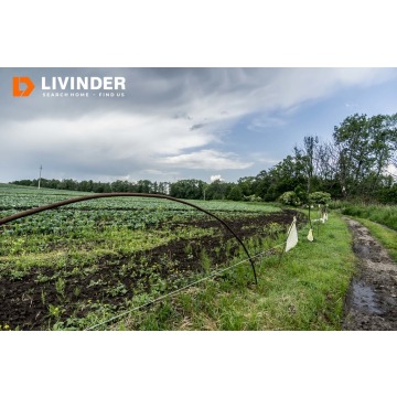 Działka Czulice sprzedam, pow. 2100 m2  (21a) - zdjęcie 7