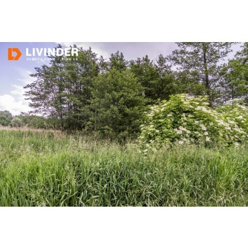 Działka Czulice sprzedam, pow. 2100 m2  (21a) - zdjęcie 2