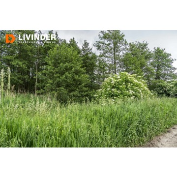 Działka Czulice sprzedam, pow. 2100 m2  (21a) - zdjęcie 4