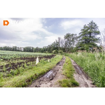 Działka Czulice sprzedam, pow. 2100 m2  (21a) - zdjęcie 5