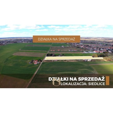 Działka budowlana Gorzów Wielkopolski sprzedam, pow. 1004 m2  (10a) - zdjęcie 1