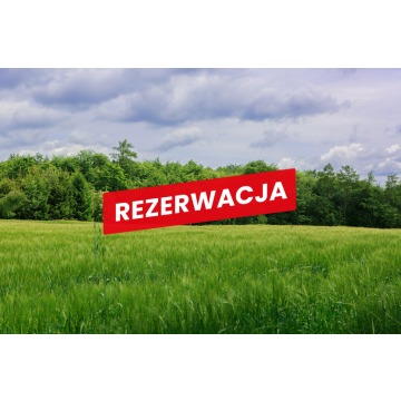 Działka Piaseczno sprzedam, pow. 79 000 m2  (7.9ha) - zdjęcie 4
