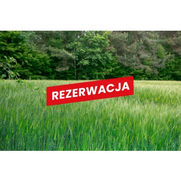 Działka Piaseczno sprzedam, pow. 79 000 m2  (7.9ha) - zdjęcie 8
