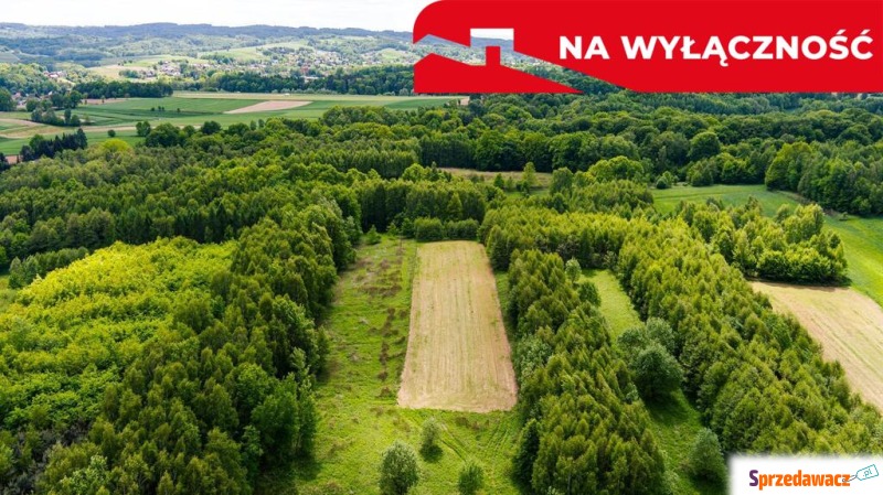 Działka rolna - 4677 m² Skrzyszów