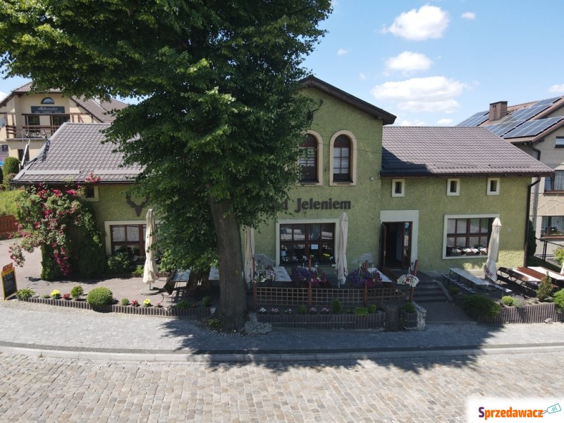 Restauracja, pub na sprzedaż Góra...