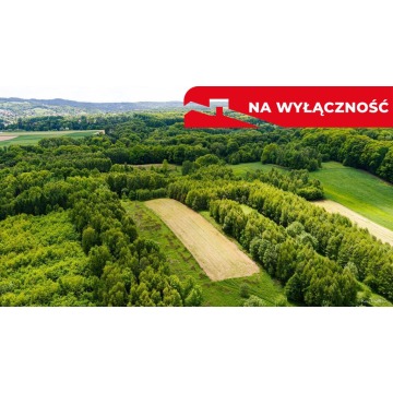 Działka rolna Skrzyszów sprzedam, pow. 4677 m2  (46.8a) - zdjęcie 3