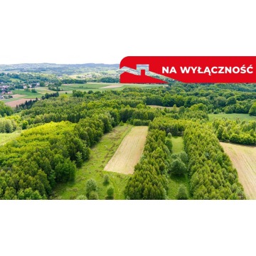 Działka rolna Skrzyszów sprzedam, pow. 4677 m2  (46.8a) - zdjęcie 4