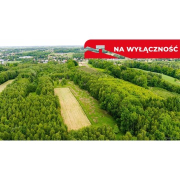 Działka rolna Skrzyszów sprzedam, pow. 4677 m2  (46.8a) - zdjęcie 2