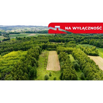 Działka rolna Skrzyszów sprzedam, pow. 4677 m2  (46.8a) - zdjęcie 1