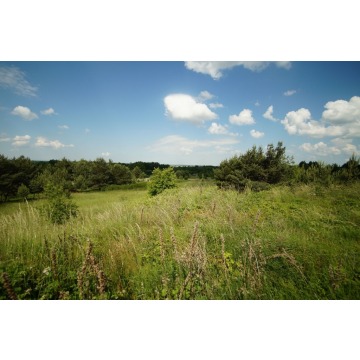 Działka budowlana Górki sprzedam, pow. 780 m2  (7.8a) - zdjęcie 2