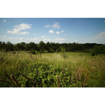 Działka budowlana Górki sprzedam, pow. 1119 m2  (11.2a) - zdjęcie 1