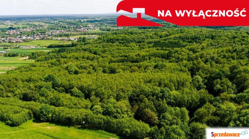 Działka leśna Skrzyszów sprzedam, pow. 5572 m2  (55.7a)