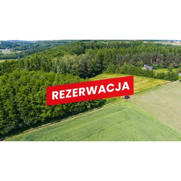 Działka Piaseczno sprzedam, pow. 79 000 m2  (7.9ha) - zdjęcie 7