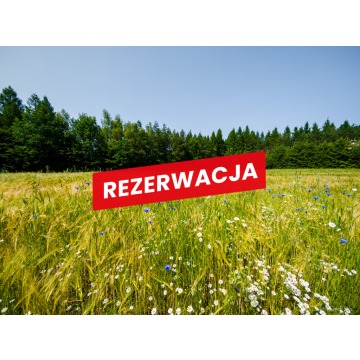 Działka Piaseczno sprzedam, pow. 79 000 m2  (7.9ha) - zdjęcie 2