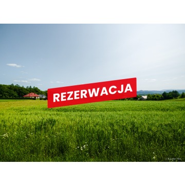 Działka Piaseczno sprzedam, pow. 79 000 m2  (7.9ha) - zdjęcie 3