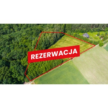 Działka Piaseczno sprzedam, pow. 79 000 m2  (7.9ha) - zdjęcie 1