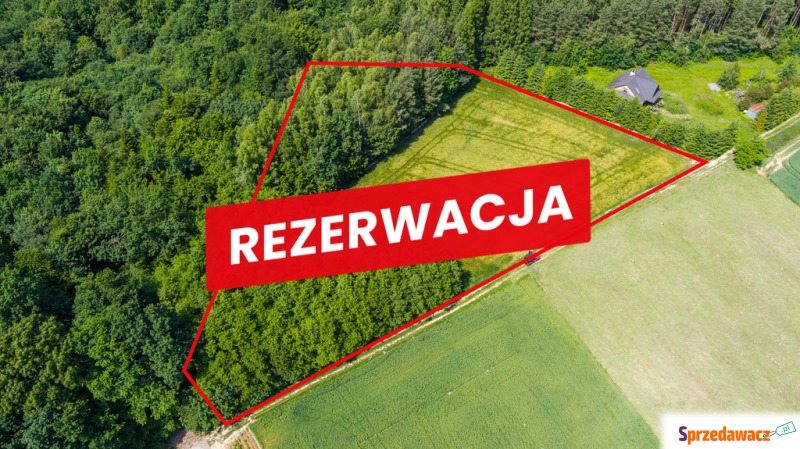 Działka Piaseczno sprzedam, pow. 79 000 m2  (7.9ha)